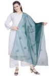 Elegant Grace Redefined – RANI SAAHIBA Women’s Embroidered Organza Dupatta Adds Royal Charm to Every Outfit