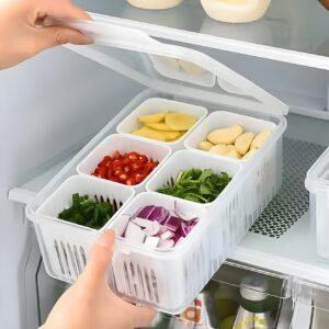 hago Plastic Fridge Storage Boxes Freezer Storage Containers, Container for Kitchen Storage Set, Storage in Kitchen, Draining Crisper Refrigerator Food Box (1), 1000 ml, White